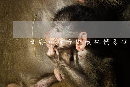西安口碑好的债权债务律师 西安口碑好的债权债务律师