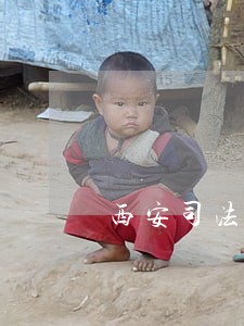 西安司法房产拍卖九锦台 西安司法房产拍卖九锦台