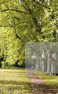 西安周边建设工程官司律师多少钱