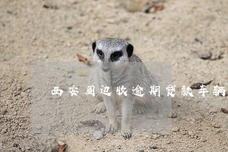 西安周边收逾期贷款车辆 西安周边收逾期贷款车辆