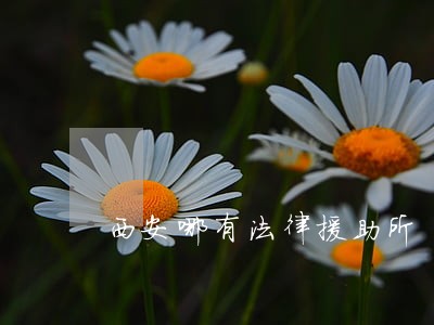 西安哪有法律援助所 西安哪有法律援助所