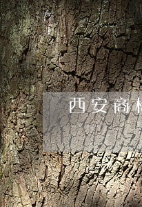 西安商标侵权纠纷律师 西安商标侵权纠纷律师