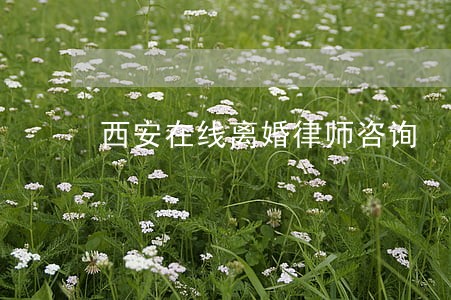 西安在线离婚律师咨询 西安在线离婚律师咨询
