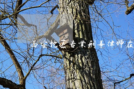 西安地区专业刑事律师在线咨询 西安地区专业刑事律师在线咨询