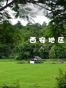 西安地区婚姻律师咨询