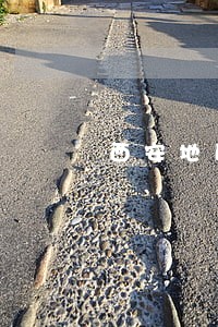 西安地区新城区刑事律师 西安地区新城区刑事律师