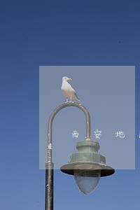 西安地区请个房屋买卖合同律师 西安地区请个房屋买卖合同律师