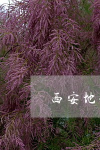 西安地铁法规
