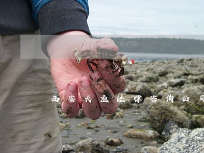 西安天益法律咨询公司 西安天益法律咨询公司