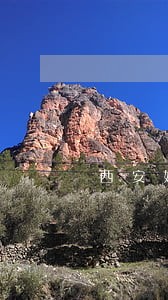 西安婚姻师