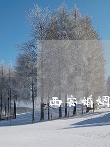 西安婚姻律师咨询 西安婚姻律师咨询