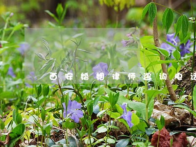 西安婚姻律师咨询电话 西安婚姻律师咨询电话
