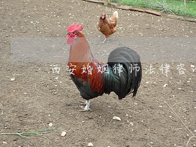 西安婚姻律师法律咨询 西安婚姻律师法律咨询