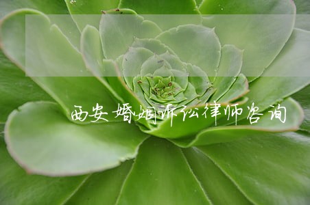 西安婚姻诉讼律师咨询 西安婚姻诉讼律师咨询
