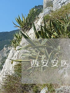 西安安医院诉讼 西安安医院诉讼