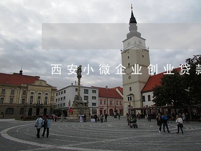西安小微企业创业贷款逾期 西安小微企业创业贷款逾期