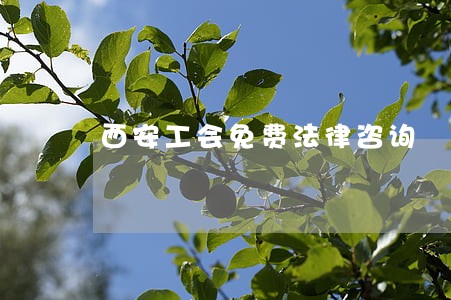 西安工会免费法律咨询 西安工会免费法律咨询
