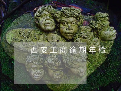 西安工商逾期年检 西安工商逾期年检