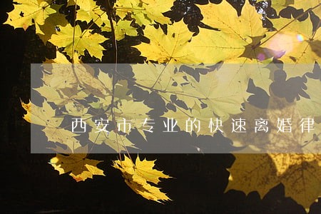 西安市专业的快速离婚律师 西安市专业的快速离婚律师