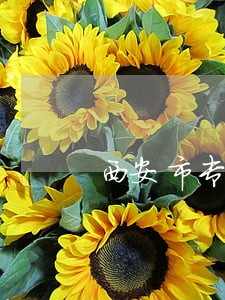 西安市专利代理 西安市专利代理