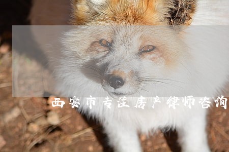 西安市专注房产律师咨询 西安市专注房产律师咨询