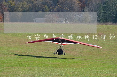 西安市专注继承纠纷律师哪里找 西安市专注继承纠纷律师哪里找