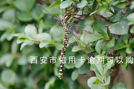 西安市信用卡逾期可以购房吗 西安市信用卡逾期可以购房吗