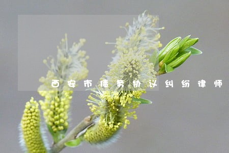 西安市债务协议纠纷律师费用 西安市债务协议纠纷律师费用