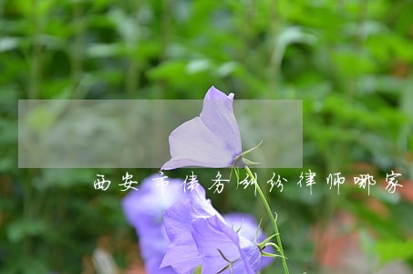 西安市债务纠纷律师哪家好 西安市债务纠纷律师哪家好