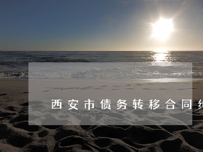 西安市债务转移合同纠纷律师 西安市债务转移合同纠纷律师
