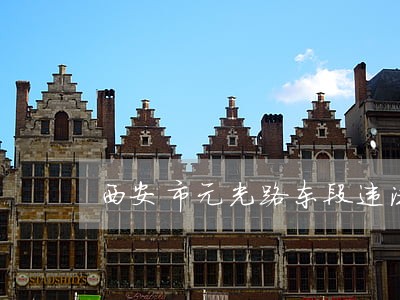 西安市元光路东段违法停车 西安市元光路东段违法停车
