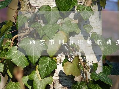 西安市刑事律师收费多少 西安市刑事律师收费多少
