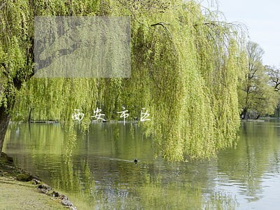 西安市区