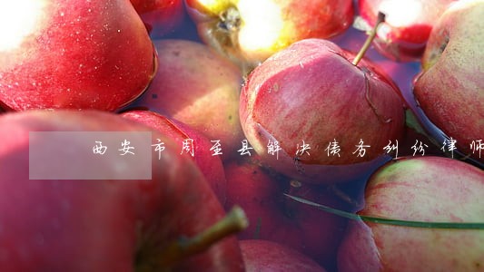 西安市周至县解决债务纠纷律师