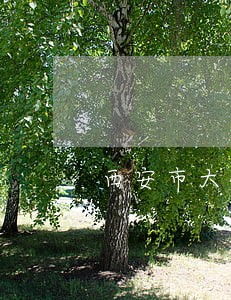 西安市大修基金逾期缴纳 西安市大修基金逾期缴纳