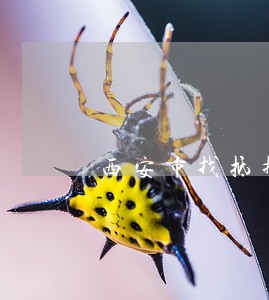 西安市找抵押合同纠纷律师哪个好 西安市找抵押合同纠纷律师哪个好