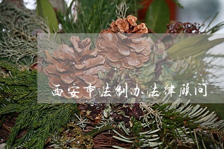 西安市法制办法律顾问 西安市法制办法律顾问