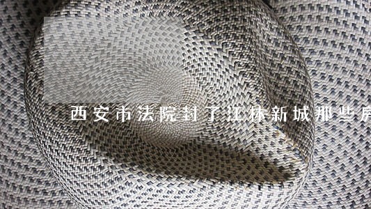 西安市法院封了江林新城那些房 西安市法院封了江林新城那些房