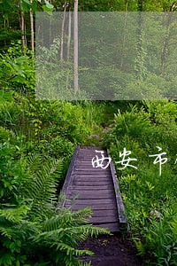 西安市碑林区人民法院地址 西安市碑林区人民法院地址