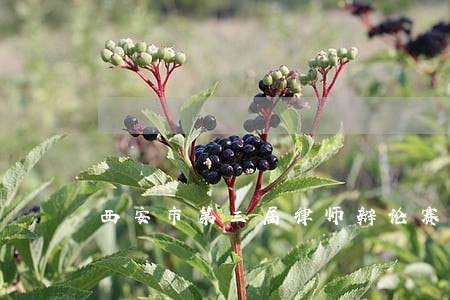 西安市第三届律师辩论赛落下帷幕 西安市第三届律师辩论赛落下帷幕