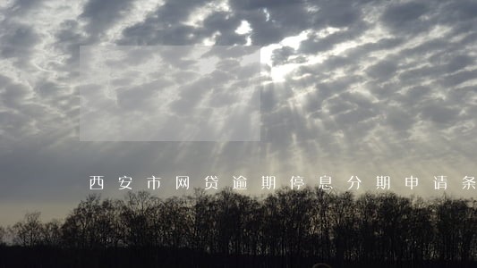 西安市网贷逾期停息分期申请条件 西安市网贷逾期停息分期申请条件