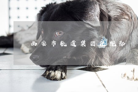 西安市轨道集团法规部