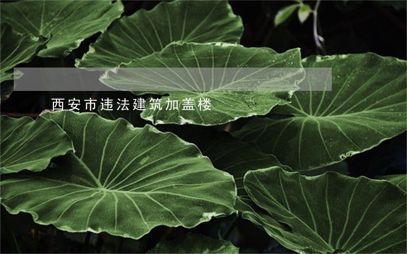 西安市违法建筑加盖楼 西安市违法建筑加盖楼