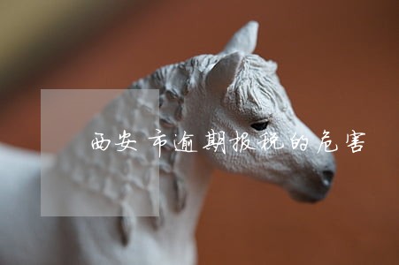 西安市逾期报税的危害 西安市逾期报税的危害