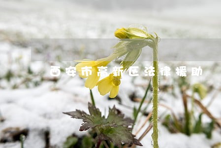 西安市高新区法律援助 西安市高新区法律援助