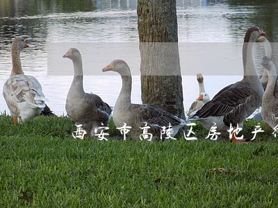 西安市高陵区房地产律师 西安市高陵区房地产律师