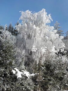 西安建筑房产律师 西安建筑房产律师