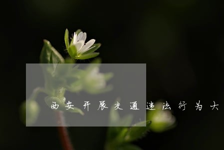西安开展交通违法行为大整治