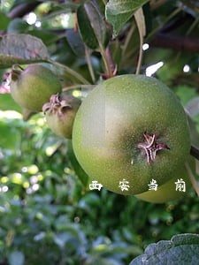 西安当前逾期可做抵押的公司 西安当前逾期可做抵押的公司