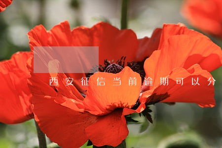 西安征信当前逾期可以分期买车吗